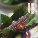 제철로 | 포항구룡포 과메기제철 과메기야채세트 택배 후기