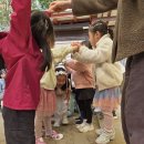 10. 24 하루, 하은이의 생일을 축복하는 날 / 지역사회 - 꿈키움 유아숲체험장 이미지