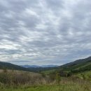 [운동 / 등산] 호랑이가 살 것 같은 오대산⛰️ / 1인2산 코스 추천 / 좋은사람들 산악회 이용후기