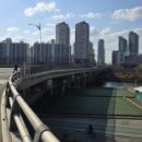 양천세천 이미지