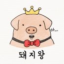 돼지왕 이미지