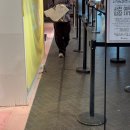 푸치하우스 | 나가노 마켓에 남자친구 들여보내고 기웃거리는 여자친구의 후기