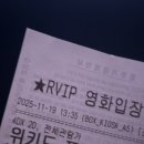 어서와 댕댕아 | 아 뭐가 그리 샘이 났길래