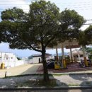 통제영주유소 이미지