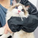 주안동물병원 이미지