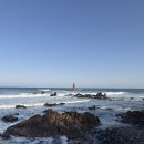 피스하우징(평화주택) | [삼척펜션] 강원도 삼척 애견동반펜션 피스하우징 평일 7만원대 이가격에 오션뷰?