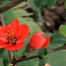 이화원(온실) 이미지