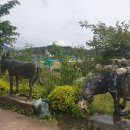 김박사 봉평막국수 이미지