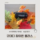 잠 못 이루는 육아맘의 굿대디 잠이든플러스 솔직후기
