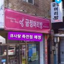 큐사랑 네이버블로그
