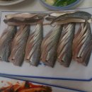 조박사회집