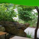 거북이펜션 이미지