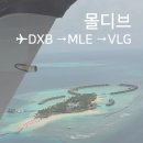 디바짐 | 10주 입덧 임산부의 몰디브 신혼여행 ✈️ 에미레이트 B777 비즈니스석·수상비행기·벨리간두 툰디바 후기