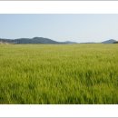 산넘어남촌엔 이미지