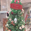 충청떡집 | 전포명가떡집 앙꼬절편 현대백화점 충청점 팝업스토어