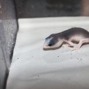 브리딩 팜 이미지