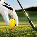 다모아소프트 이미지