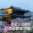 조선소한복 | 밤의 궁을 거닐며 창경궁 야간개장 창경궁물빛연화
