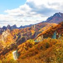 &#34;차 타고 해발 920m까지 오릅니다&#34;...100대 명산 따라 달리는 단풍 드라이브 명소 이미지