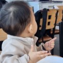 아기해녀의집 | 제주 성산 섭지코지 맛집 섭지해녀의집｜성게칼국수 아기랑 가족여행 후기