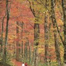 일상의 쉼표 이미지