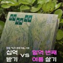 청예, 『일억 번째 여름』 서평 _십억 받기 vs 일억 번째 여름 맞이하기