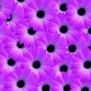 쉬즈산부인과의원 이미지