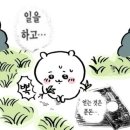 시그마스테이 | 꽃이 지고나서