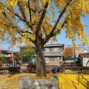 향촌5길놀이터 이미지