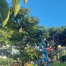 양양 더 하루 펜션 이미지