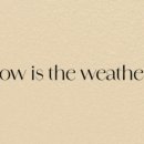 맑은 세탁 이미지