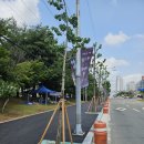 논산대로 이미지