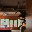 백조당구장 이미지