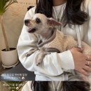 메디컬아이(주) 이미지