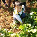 윤서농장 이미지