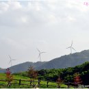 하늘아래목장 Daum카페