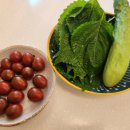 운봉의뜰 이미지