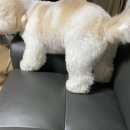 한올디테일그루밍 이미지