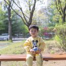 도원체육공원 농구장 이미지