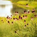 호숫가의 풍경 이미지