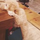 우현라이프