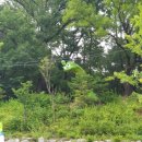 도봉로1길-6 이미지