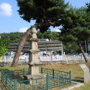 옥천 죽향리사지 삼층석탑(沃川 竹香里寺址 三層石塔) 이미지