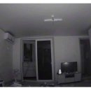 카라이프 이미지