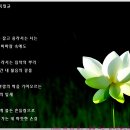 7월 담쟁이 / 목필균 이미지