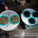 울진바지게시장 이미지