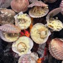 GR(금산군)-[산내로]-하-8 | 대전글램핑 사계절미온수풀이 있는 글램핑장 :: 럭셔리 문글램핑 다녀온 후기! 내돈내산