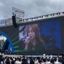 콘헤이즈 이미지