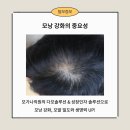 모가나의원 이미지