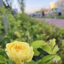 260504_새절_HRSAT_자유주_8k_ATR런 이미지